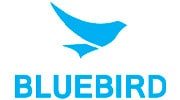 Blue bird parceiro