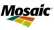 mosaic mosaic
